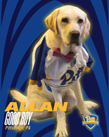 Allan