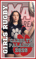 Paladino