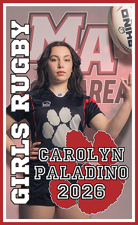 Paladino