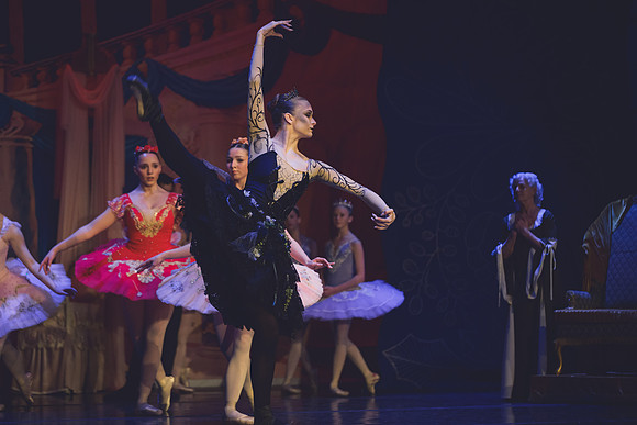 20260313 _WPB_SleepingBeauty_Dress-1341