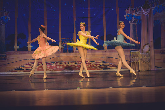 20260313 _WPB_SleepingBeauty_Dress-1263