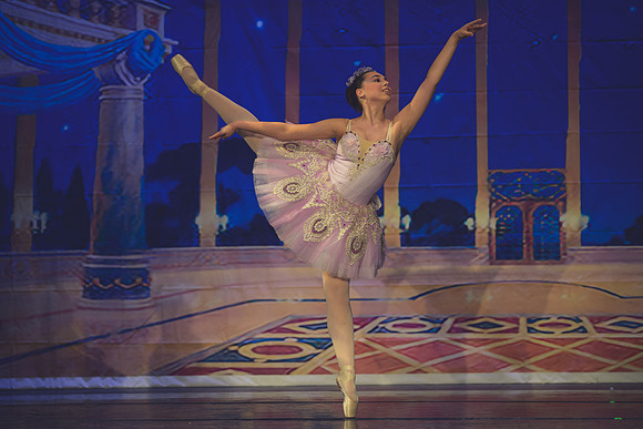 20260313 _WPB_SleepingBeauty_Dress-1231