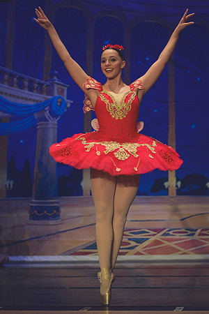 20260313 _WPB_SleepingBeauty_Dress-1208