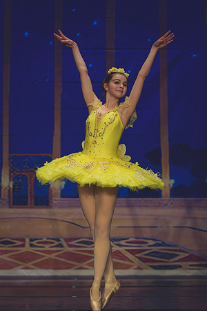 20260313 _WPB_SleepingBeauty_Dress-1178