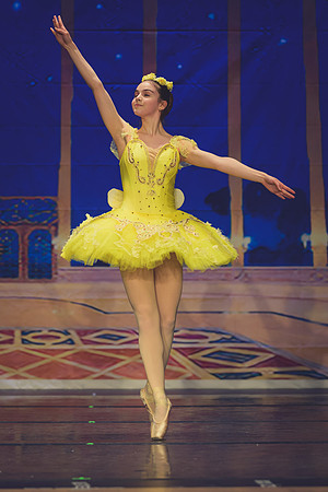 20260313 _WPB_SleepingBeauty_Dress-1174
