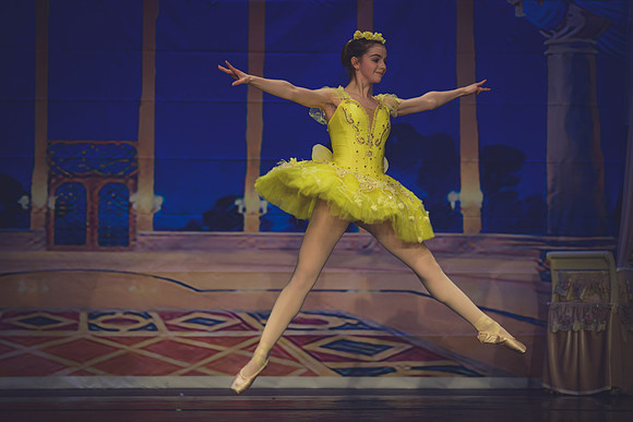 20260313 _WPB_SleepingBeauty_Dress-1161