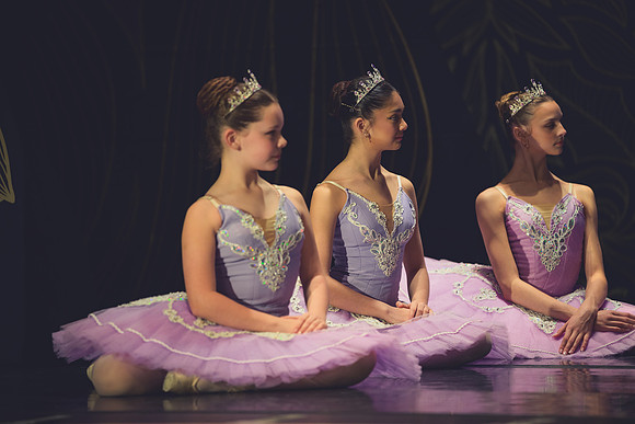 20260313 _WPB_SleepingBeauty_Dress-1147