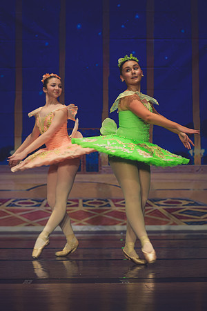 20260313 _WPB_SleepingBeauty_Dress-1116