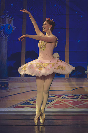 20260313 _WPB_SleepingBeauty_Dress-1099