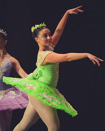 20260313 _WPB_SleepingBeauty_Dress-1059