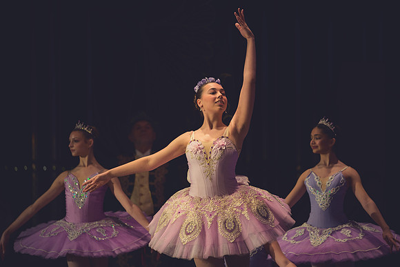 20260313 _WPB_SleepingBeauty_Dress-1066