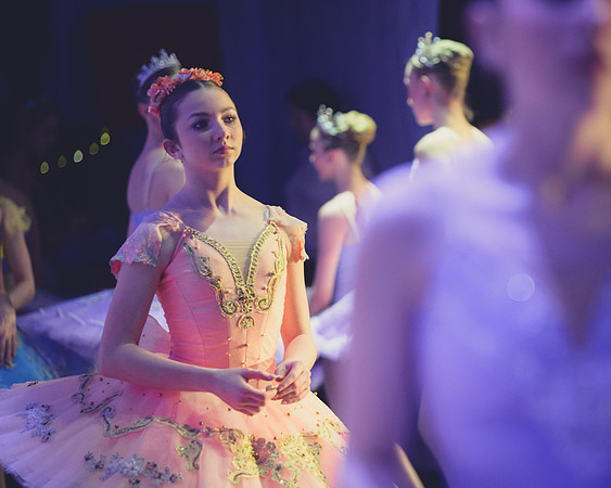 20260313 _WPB_SleepingBeauty_Dress-0871