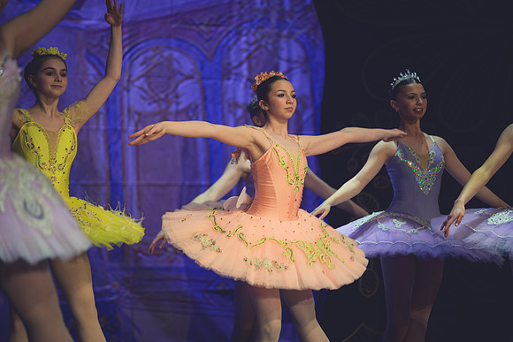 20260313 _WPB_SleepingBeauty_Dress-0766