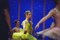 20260313 _WPB_SleepingBeauty_Dress-0744