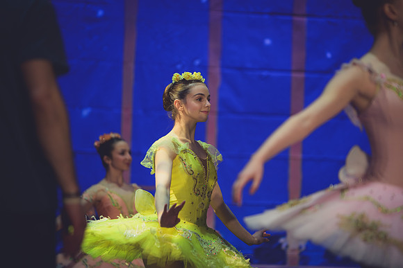 20260313 _WPB_SleepingBeauty_Dress-0744