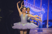 20260313 _WPB_SleepingBeauty_Dress-0730