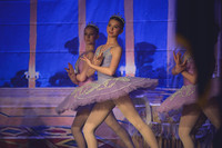 20260313 _WPB_SleepingBeauty_Dress-0707