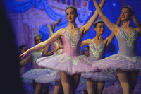 20260313 _WPB_SleepingBeauty_Dress-0716