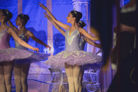 20260313 _WPB_SleepingBeauty_Dress-0711