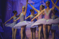 20260313 _WPB_SleepingBeauty_Dress-0715