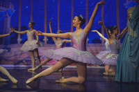 20260313 _WPB_SleepingBeauty_Dress-0720
