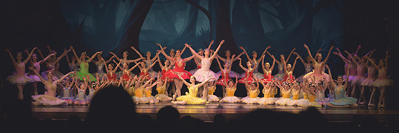 20260314_WPB_SleepingBeauty-3190