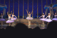 20260314_WPB_SleepingBeauty-2613