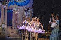 20260314_WPB_SleepingBeauty-2627