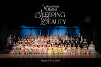 2026 Sleeping Beauty Collection