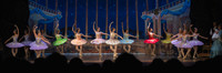20260315_WPB_SleepingBeauty-4167