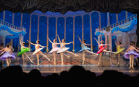 20260315_WPB_SleepingBeauty-4207