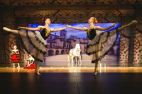 20260531_WPB_DonQuixote-3604