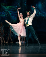 2023 Midsummer Night's Dream Dress