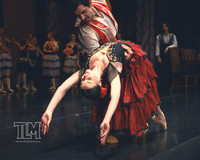 Dress Rehearsal