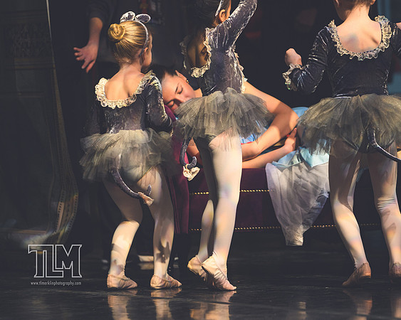 20241212_WPB_NutcrackerDress_Z8-4410