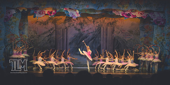 20250607_WPBLeCorsaire-1148